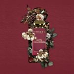 عطر ادکلن روتا دله اسپتسیه اِتِرو - Rotta delle Spezie Etereo - بررسی، قیمت و خرید