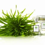 عطر ادکلن نو گرین اونوره د پری - Nu Green Honore des Pres - بررسی، قیمت و خرید