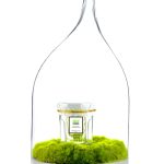 عطر ادکلن نو گرین اونوره د پری - Nu Green Honore des Pres - بررسی، قیمت و خرید