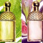 عطر ادکلن آکوا آلگوریا لوریه - رگلیس گرلن - Aqua Allegoria Laurier - Reglisse Guerlain - بررسی، قیمت و خرید