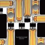 عطر ادکلن سیلور شادو پیور بلند داویدف - Silver Shadow Pure Blend Davidoff - بررسی، قیمت و خرید