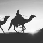 عطر ادکلن اسپریت آف عربیا الکسیر عطار - Spirit Of Arabia Elixir Attar - بررسی، قیمت و خرید