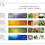 عطر ادکلن واتر ای فور فراگرنس - Water E/4 Fragrance - بررسی، قیمت و خرید