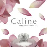 عطر ادکلن کالین گرس - Caline Grès - بررسی، قیمت و خرید