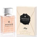 عطر ادکلن سگنچر استوری فور هیم دیوید بکهام - Signature Story for Him David Beckham - بررسی، قیمت و خرید