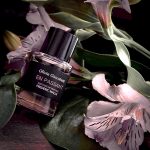 عطر ادکلن آن پاسان فردریک مال - En Passant Frederic Malle - بررسی، قیمت و خرید