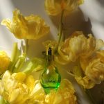 عطر ادکلن فلور دو کاباتین گرس - Fleur de Cabotine Grès - بررسی، قیمت و خرید