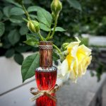 عطر ادکلن یوت-دو لمیتد ادیشن استه لودر - Youth-Dew Limited Edition Estée Lauder - بررسی، قیمت و خرید