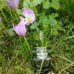 عطر ادکلن لَ اینستان مَجیک گرلن - L'Instant Magic Guerlain - بررسی، قیمت و خرید