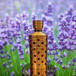 عطر ادکلن جیکی گرلن - Jicky Guerlain - بررسی، قیمت و خرید