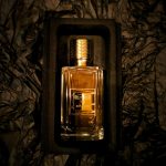 عطر ادکلن ایکسپلیسیت اِگزی نیهِلو - Explicite Ex Nihilo - بررسی، قیمت و خرید