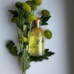 عطر ادکلن آکوا آلگوریا توتی کیوی گرلن - Aqua Allegoria Tutti Kiwi Guerlain - بررسی، قیمت و خرید