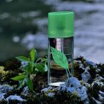 عطر ادکلن گرین تی سامر الیزابت آردن - Green Tea Summer Elizabeth Arden - بررسی، قیمت و خرید
