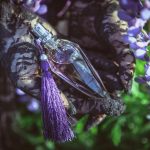 عطر ادکلن فلورتیس دیتا ون تیز - FleurTeese Dita Von Teese - بررسی، قیمت و خرید
