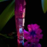 عطر ادکلن اسکادا مگنتیسم اسکادا - Escada Magnetism Escada - بررسی، قیمت و خرید
