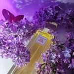 عطر ادکلن فیفت اونیو افتر فایو الیزابت آردن - 5th Avenue After Five Elizabeth Arden - بررسی، قیمت و خرید