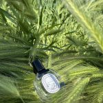 عطر ادکلن فیلوسیکوس او دو تویلت دیپتیک - Philosykos Eau de Toilette Diptyque - بررسی، قیمت و خرید