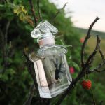 عطر ادکلن ل پتیت روب نوآر او دوتوالت گرلن - La Petite Robe Noire Eau de Toilette Guerlain - بررسی، قیمت و خرید
