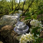 عطر ادکلن اینسانس او گلاسه گرلن - Insolence Eau Glacée Guerlain - بررسی، قیمت و خرید