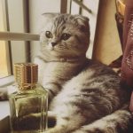 عطر ادکلن گلد ایمورتالز اکس نیهیل - Gold Immortals Ex Nihilo - بررسی، قیمت و خرید
