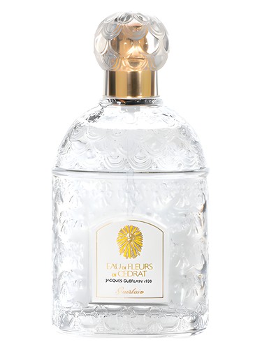 عطر ادکلن اُو دو فلور دو سدرات گرلن - Eau de Fleurs de Cedrat Guerlain - بررسی، قیمت و خرید