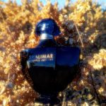 عطر ادکلن شالیمار سوفله اینتنس گرلن - Shalimar Souffle Intense Guerlain - بررسی، قیمت و خرید