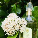 عطر ادکلن گرلن شانت دمز گرلن - Guerlain Chant d'Aromes Guerlain - بررسی، قیمت و خرید