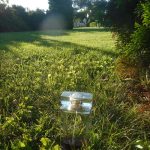 عطر ادکلن لینستنت دو گرلن گرلن - L'Instant de Guerlain Guerlain - بررسی، قیمت و خرید