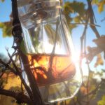 عطر ادکلن لینستنت دو گرلن گرلن - L'Instant de Guerlain Guerlain - بررسی، قیمت و خرید
