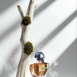 عطر ادکلن شالیمار میلیسیم وانیلا پلانیفولیا گرلن - Shalimar Millésime Vanilla Planifolia Guerlain - بررسی، قیمت و خرید
