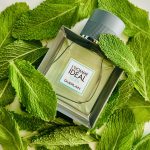 عطر ادکلن لوم آیدئال کول گرلن - L’Homme Idéal Cool Guerlain - بررسی، قیمت و خرید