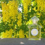 عطر ادکلن لیو گِرلَن - Liu Guerlain - بررسی، قیمت و خرید
