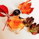 عطر ادکلن شالیمار اود عه لا ونی سور لا روت دو مکزیک گرلن - Shalimar Ode a la Vanille Sur la Route du Mexique Guerlain - بررسی، قیمت و خرید