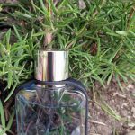 عطر ادکلن زی زیگنا ارمنجیلدو زگنا - Z Zegna Ermenegildo Zegna - بررسی، قیمت و خرید