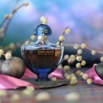 عطر ادکلن شالیمار سوفله دو پارفوم گرلن - Shalimar Souffle de Parfum Guerlain - بررسی، قیمت و خرید