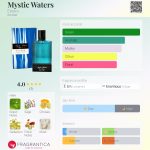 عطر ادکلن میستیک واترز استی‌ارا - Mystic Waters Estiara - بررسی، قیمت و خرید