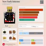 عطر ادکلن نیویورک اینتنس فریگرَنس دُ بو - New York Intense Fragrance Du Bois - بررسی، قیمت و خرید