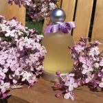 عطر ادکلن هالوین فلور هالووین - Halloween Fleur Halloween - بررسی، قیمت و خرید