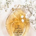 عطر ادکلن گرلن شانت دمز گرلن - Guerlain Chant d'Aromes Guerlain - بررسی، قیمت و خرید