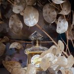 عطر ادکلن لیو گِرلَن - Liu Guerlain - بررسی، قیمت و خرید