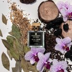 عطر ادکلن نیویورک اینتنس فریگرَنس دُ بو - New York Intense Fragrance Du Bois - بررسی، قیمت و خرید
