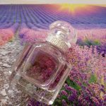 عطر ادکلن مون گرلن اسپارکلینگ بوکت گرلن - Mon Guerlain Sparkling Bouquet Guerlain - بررسی، قیمت و خرید