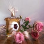 عطر ادکلن ناهما او دو پارفوم گرلن - Nahema Eau de Parfum Guerlain - بررسی، قیمت و خرید