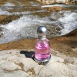 عطر ادکلن هالووین کیس س.ک.سی هالووین - Halloween Kiss Sexy Halloween - بررسی، قیمت و خرید