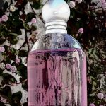 عطر ادکلن هالووین کیس س.ک.سی هالووین - Halloween Kiss Sexy Halloween - بررسی، قیمت و خرید